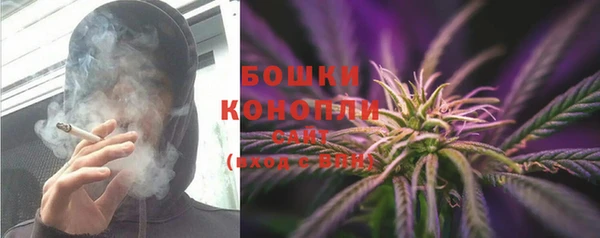 кокс Вяземский