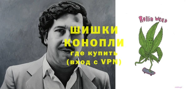 сатива Няндома