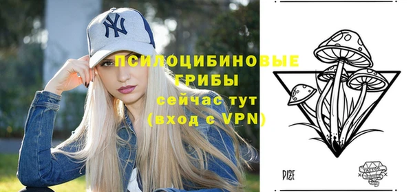 прущая мука Вязники