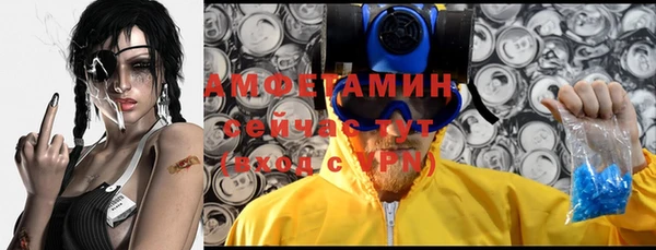 кокс Вяземский